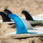 Types of Fins