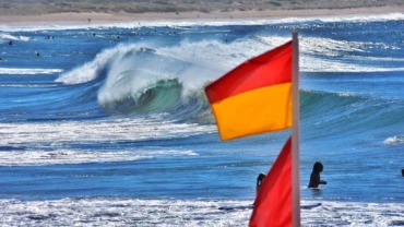 safe while surfing, lifeguard flags