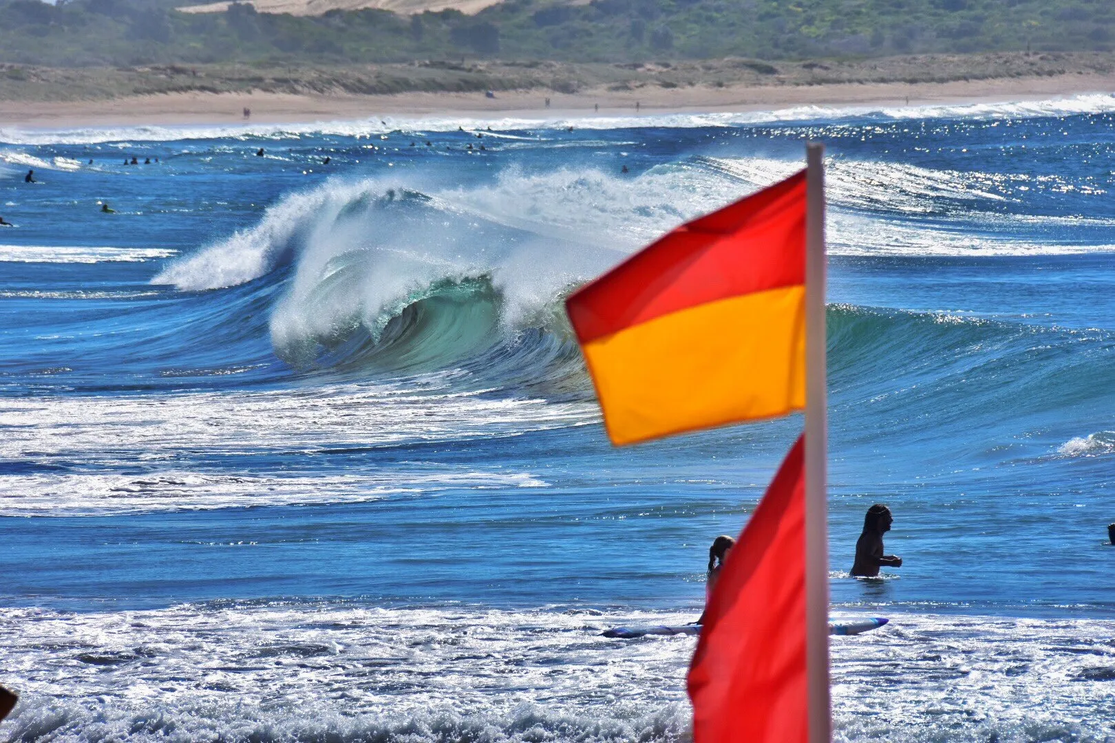 safe while surfing, lifeguard flags