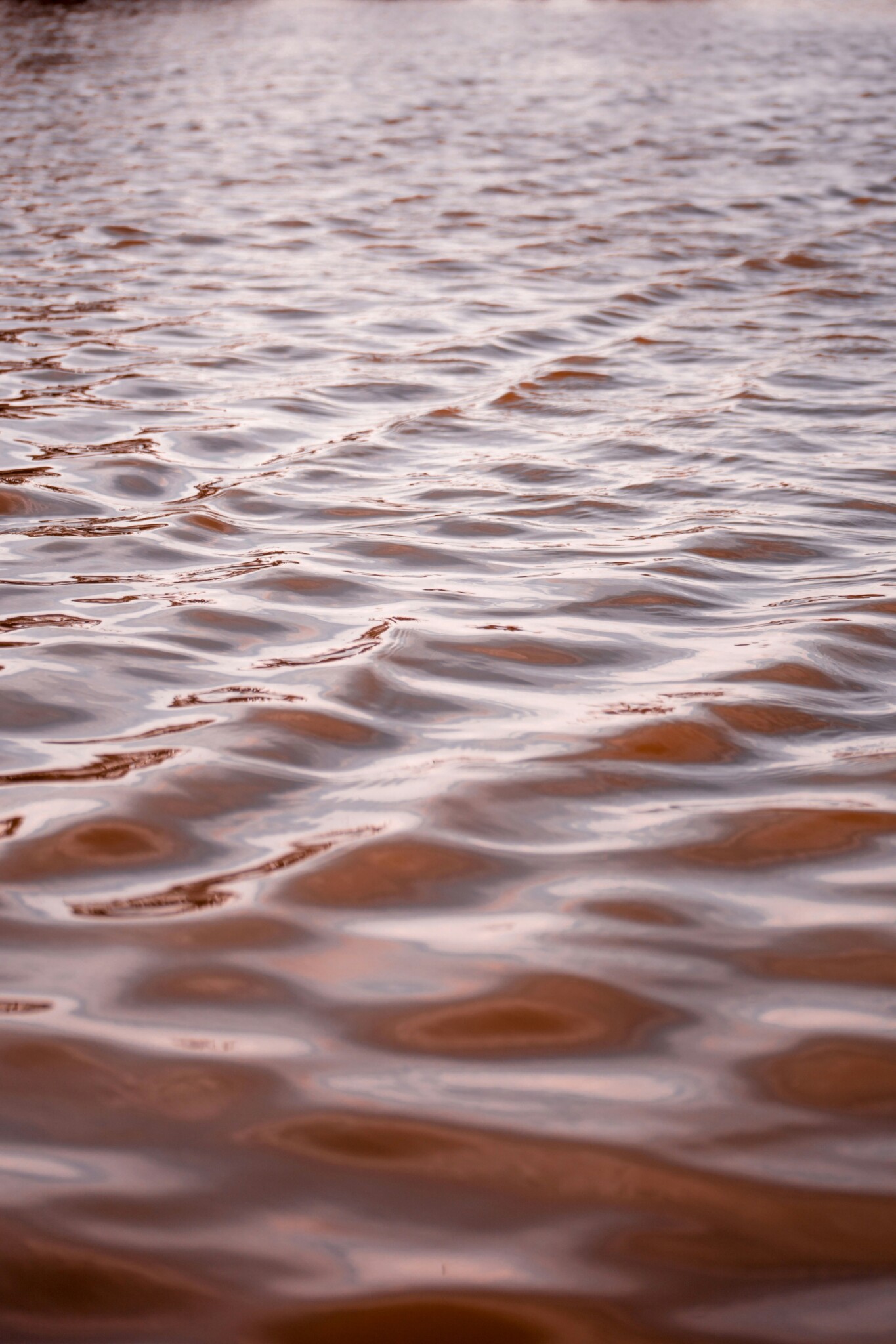Red Tides and How It Affects Your Surfing Experience in San Diego