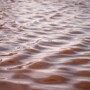 Red Tides and How It Affects Your Surfing Experience in San Diego